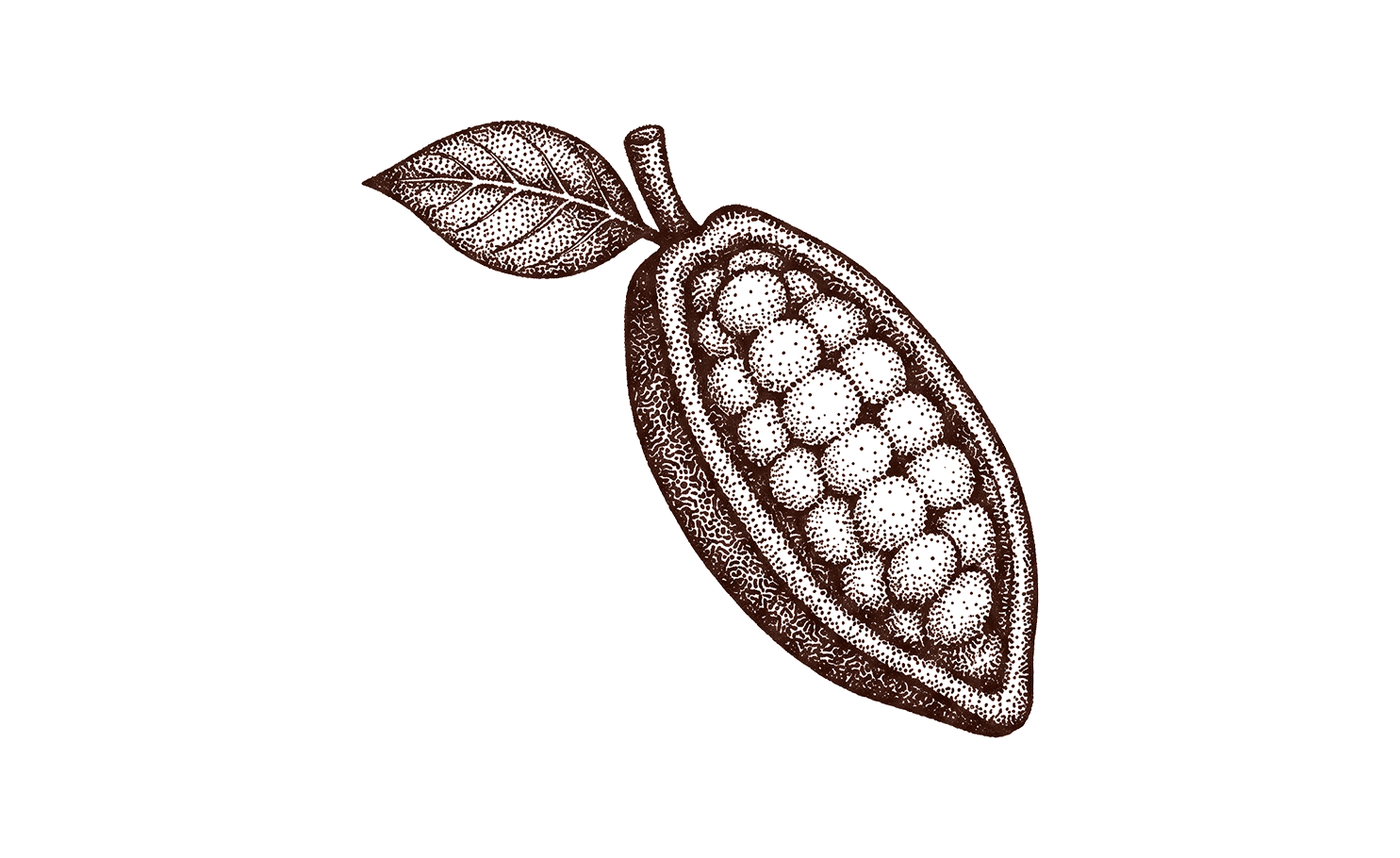Cacao