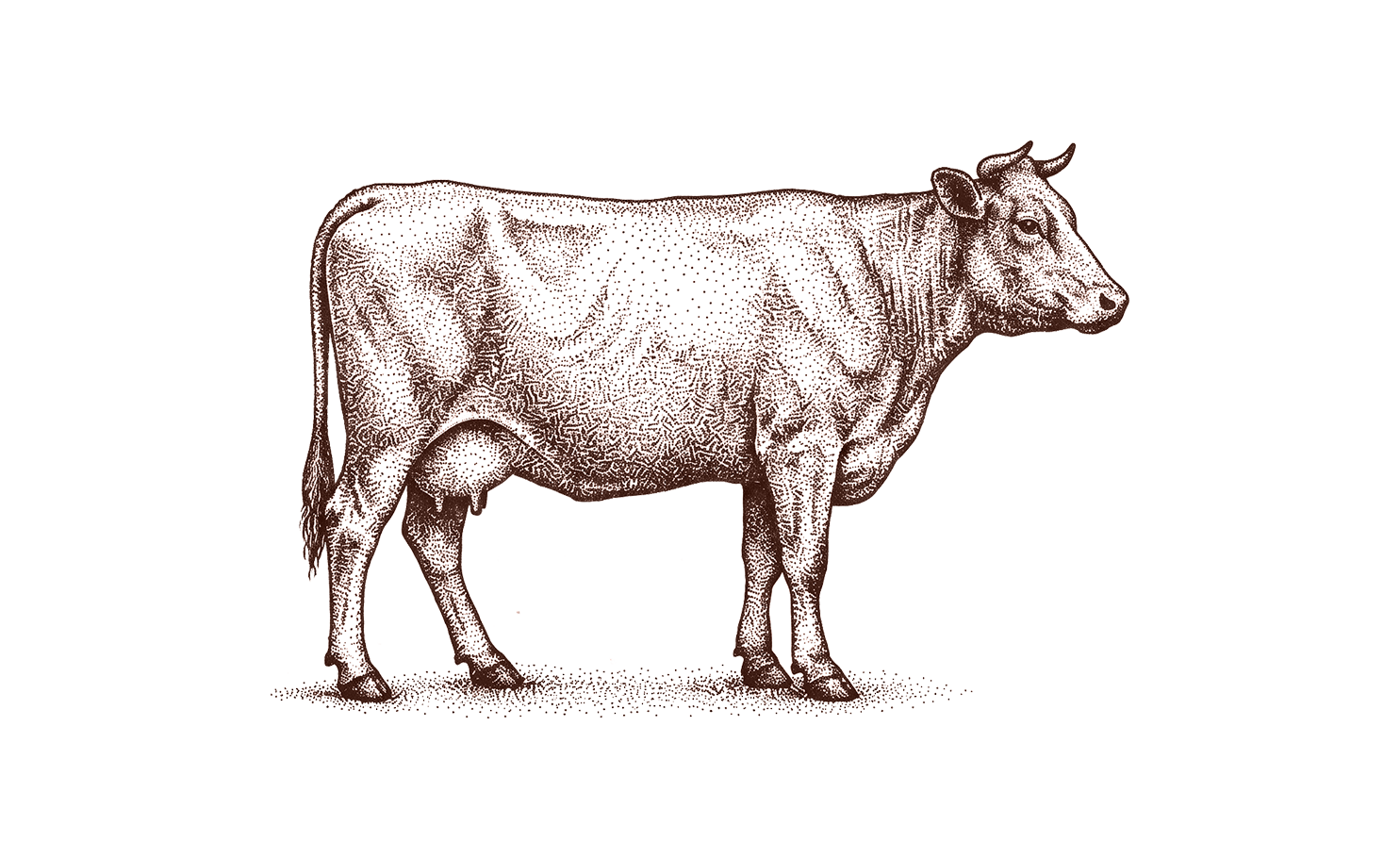Grass-fed tallow