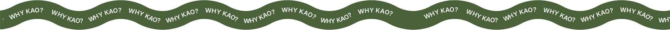 Why KAO?